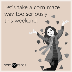 lets-take-a-corn-maze-way-too-seriously-this-weekend-hnv-1