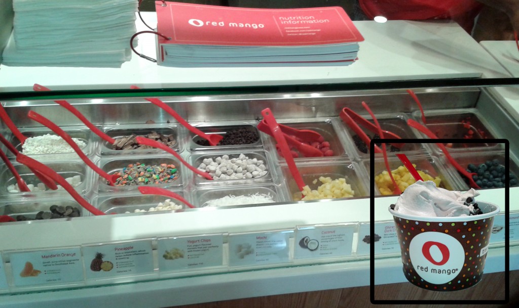 Sorting through Madison’s frozen yogurt craze