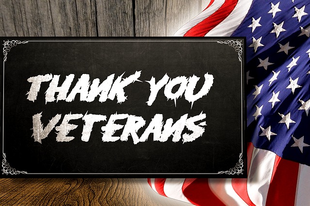 Veterans day facts for toddlers